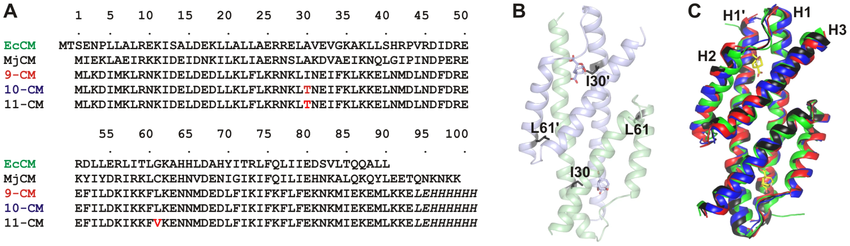 Comparisons of the structures of the CM variants.