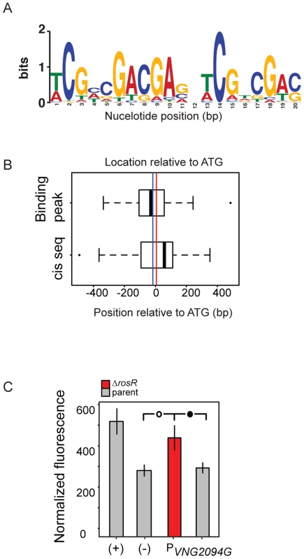 RosR binds to an imperfect palindromic cis-regulatory sequence.