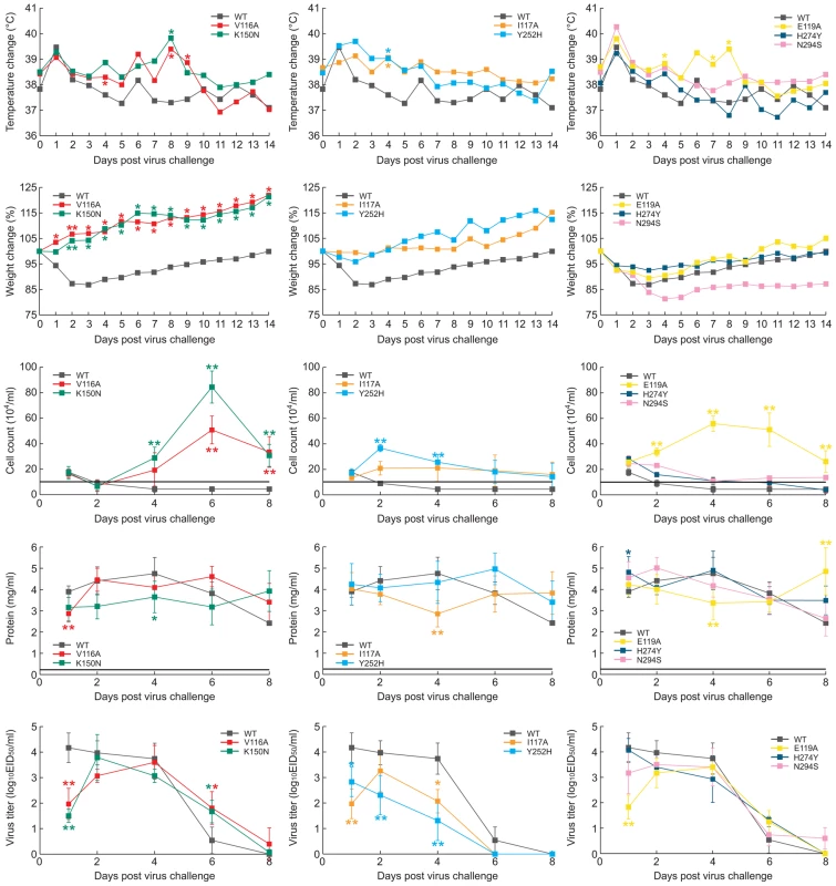 Patterns of clinical outcome in ferrets inoculated with the recombinant A/Turkey/15/06-like (H5N1) viruses.