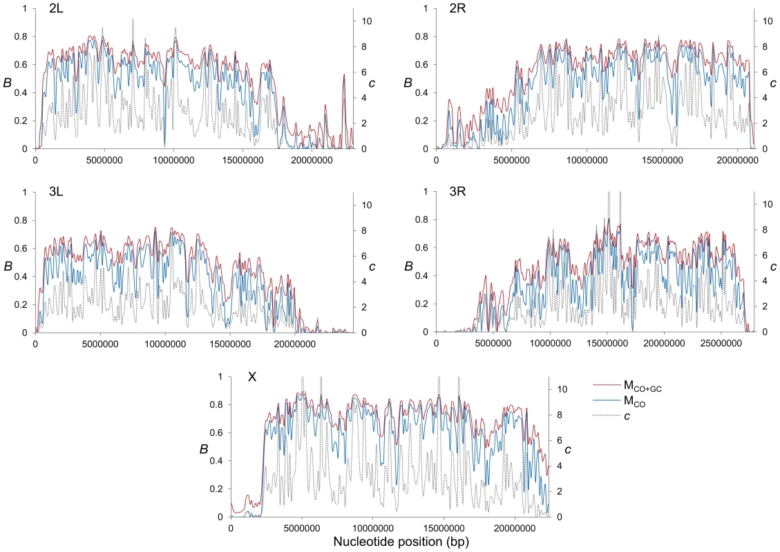 High-resolution distribution of BGS effects across the <i>D. melanogaster</i> genome.