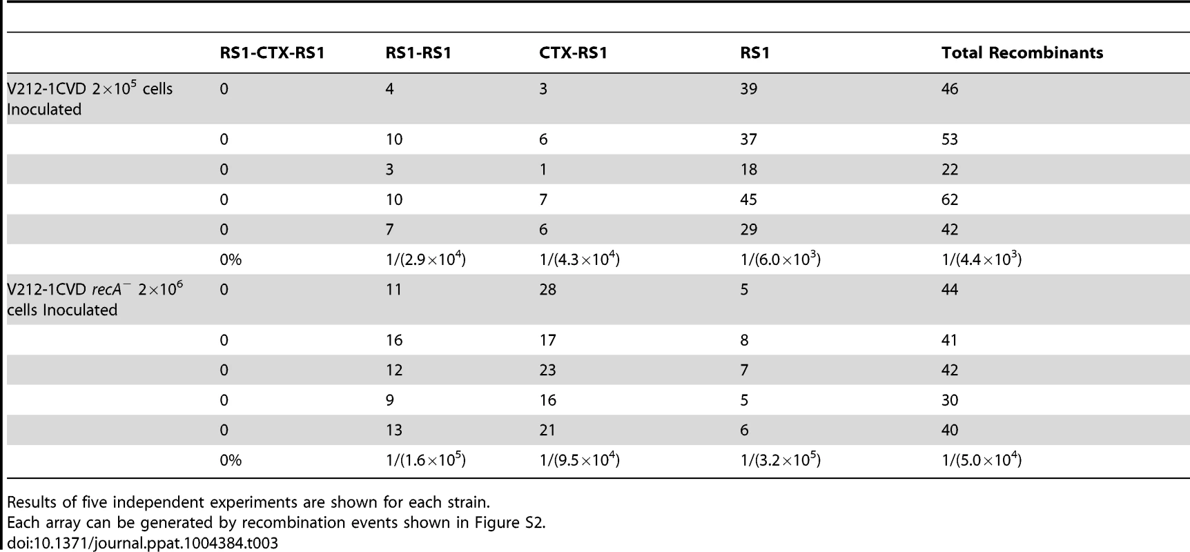 Frequency of generation of each array by excision of CTX-1, RS1, CTX-1:RS1 from chromosome 1 of V212-1CVD and V212-1CVD <i>recA</i><sup>−</sup>.