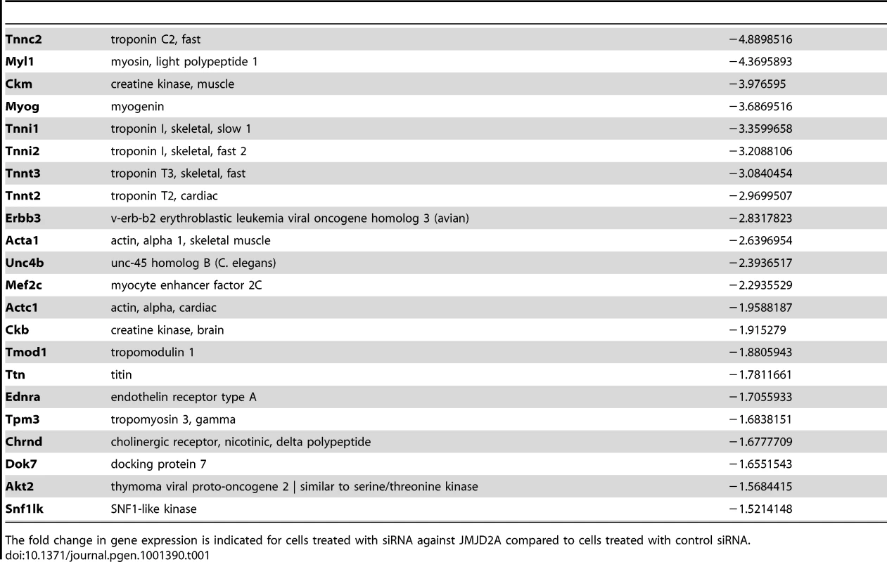 Genes associated with muscle differentiation and development (gene ontology analysis; <em class="ref">Figure 2B</em>) that were down-regulated in cells transfected by siRNA targeting both isoforms of JMJD2A.