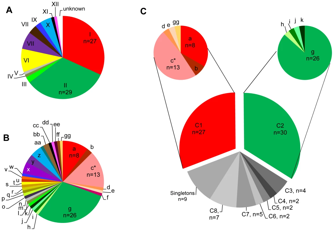 <i>Sarocystis neurona</i> genotyping results.