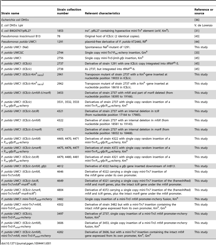 Strains used in this study and their specifications.