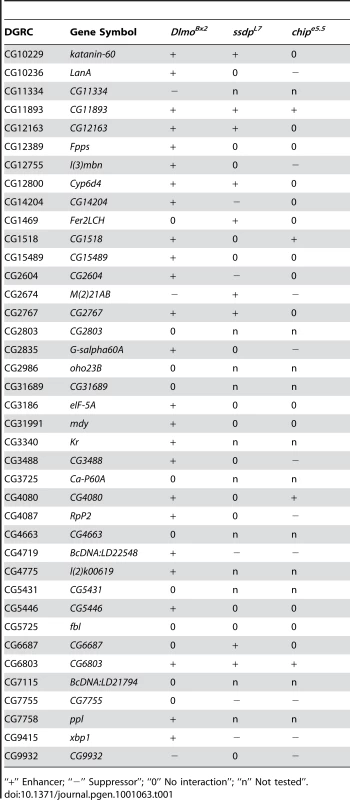 Genetic interactions between SSDP target genes and <i>Dlmo</i>, <i>ssdp</i> and <i>Chip</i>.