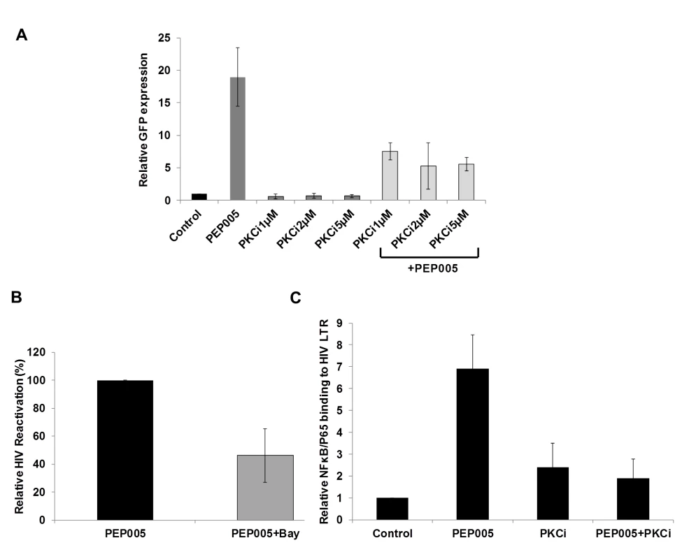 PEP005-induced HIV reactivation is mediated through PKCδ/θ-IκBα/ε-NF-ĸB signaling.