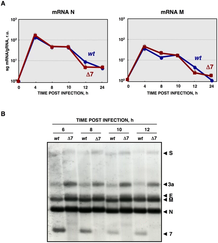 Viral RNA integrity.
