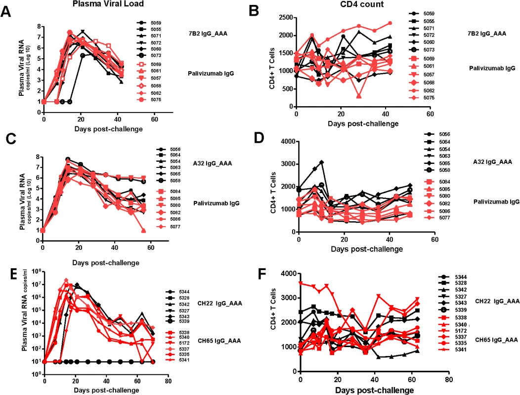 Viral loads and CD4 T cell counts following high dose SHIV BaL rectal challenge in rhesus macaques passively infused with 7B2 IgG_AAA, A32 IgG_AAA or CH22 IgG_AAA.