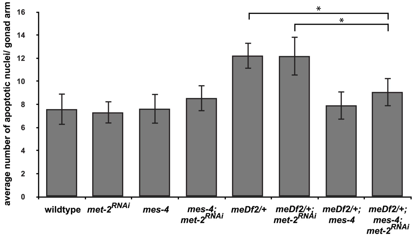 <i>mes-4</i>'s role in the synapsis checkpoint is independent of <i>met-2</i> mediated heterochromatin assembly on unsynapsed X chromosomes.