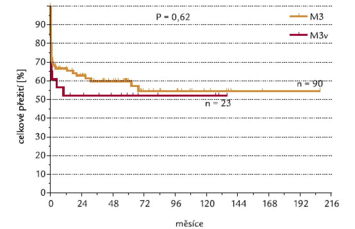 Morfologie APL dle FAB [20] a OS.