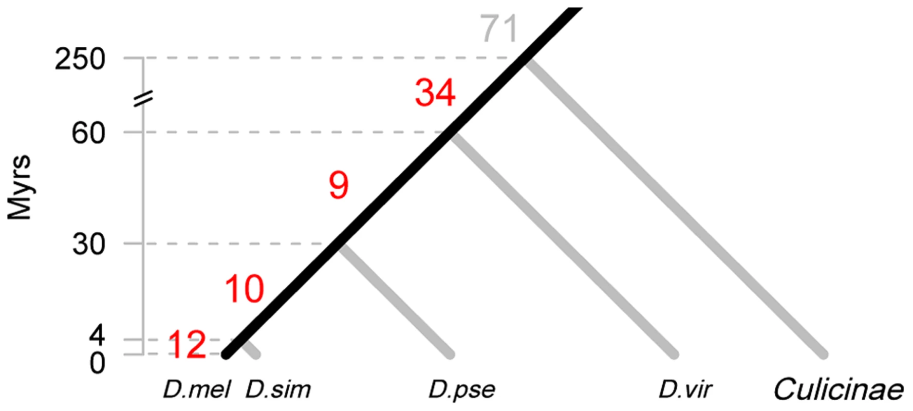 Origin of new miRNAs at different evolutionary periods.