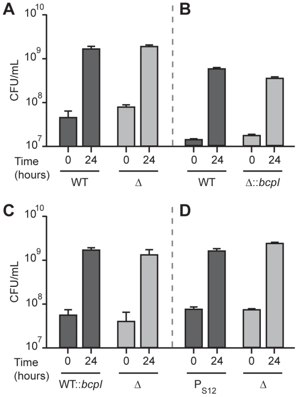 <i>bcpAIOB</i>-dependent competition does not occur in liquid medium.