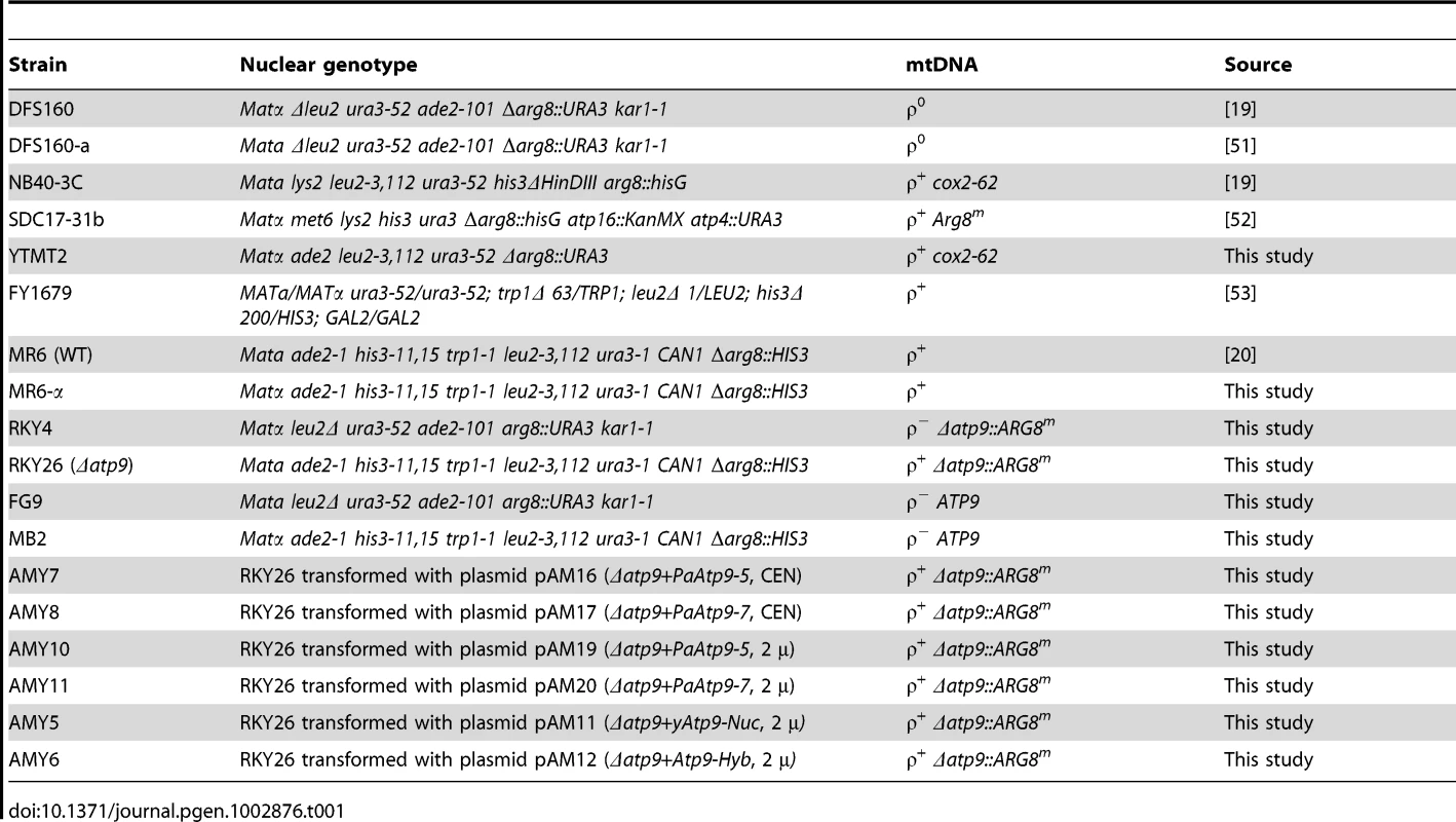 Genotypes and sources of yeast strains.