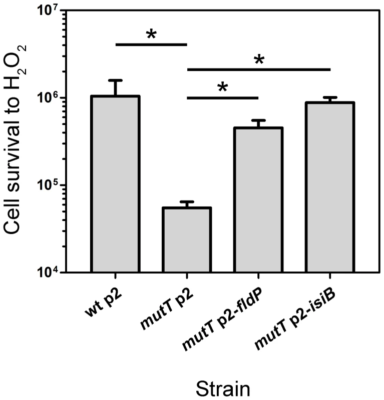 FldP mitigates H<sub>2</sub>O<sub>2</sub>-induced cell death in a <i>mutT</i>-deficient <i>P. aeruginosa</i>.