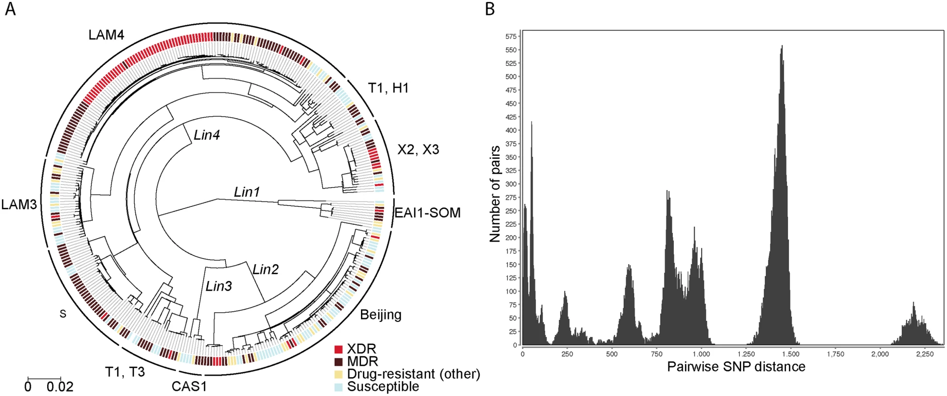 Diverse strains contribute to drug resistance in KwaZulu-Natal.