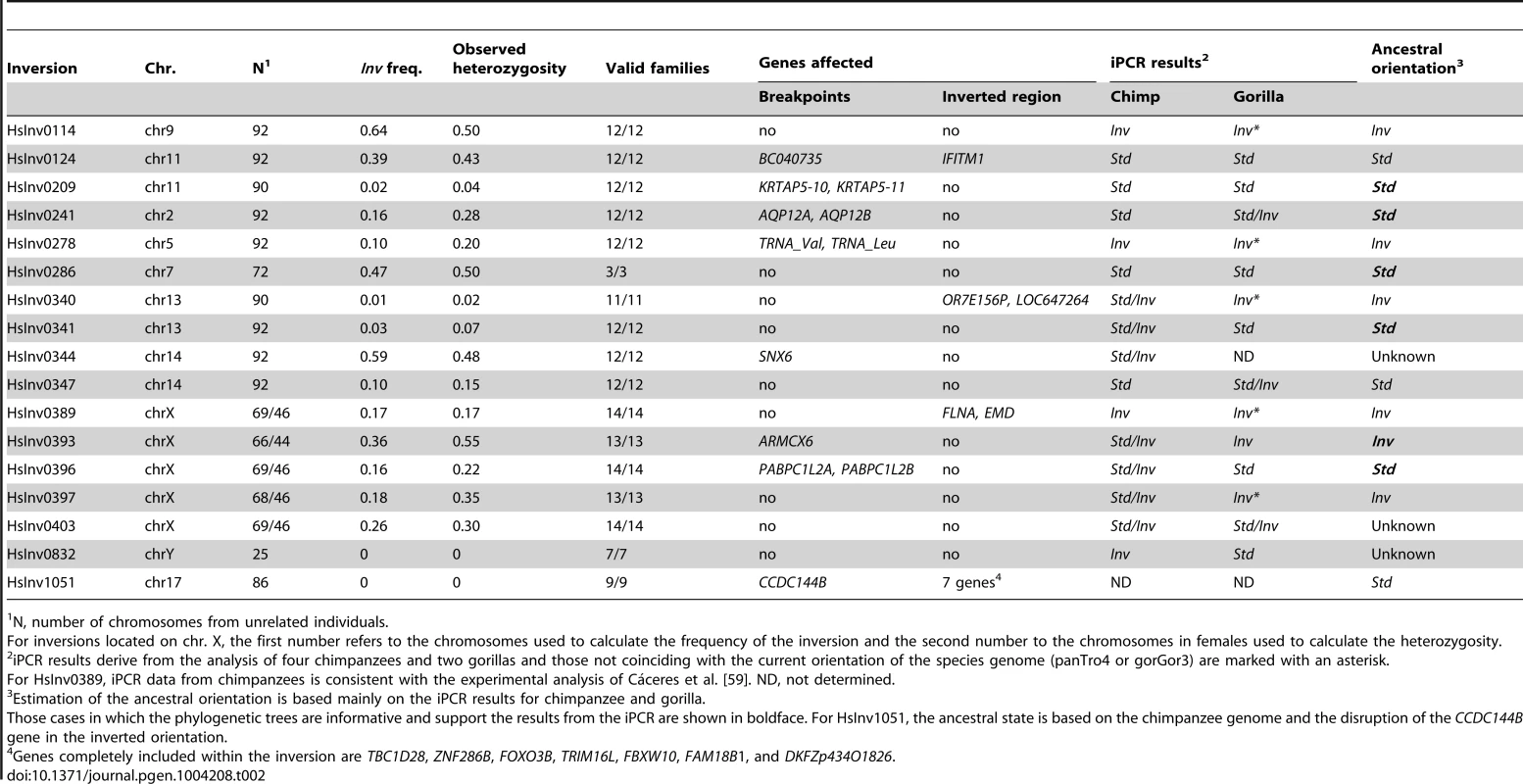 Summary information of the genotyping in CEU individuals, gene effect, and evolutionary history for the 17 validated polymorphic inversions in the human genome.