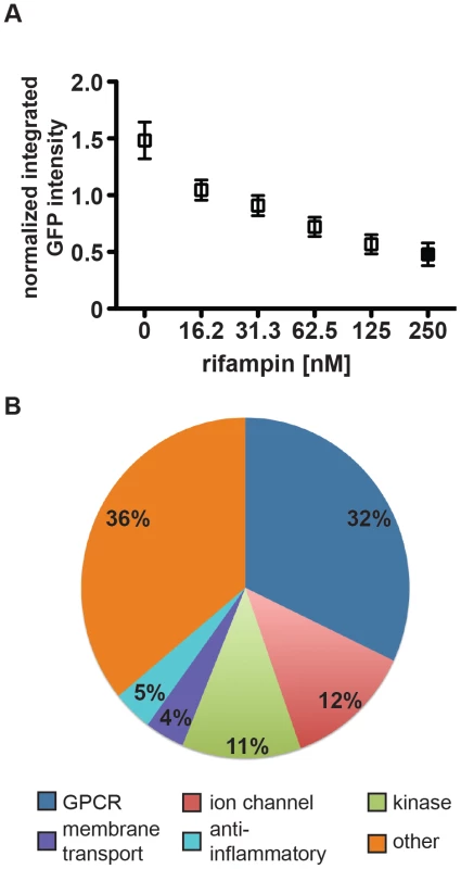 High-content imaging assay development and categorization of screen hits.