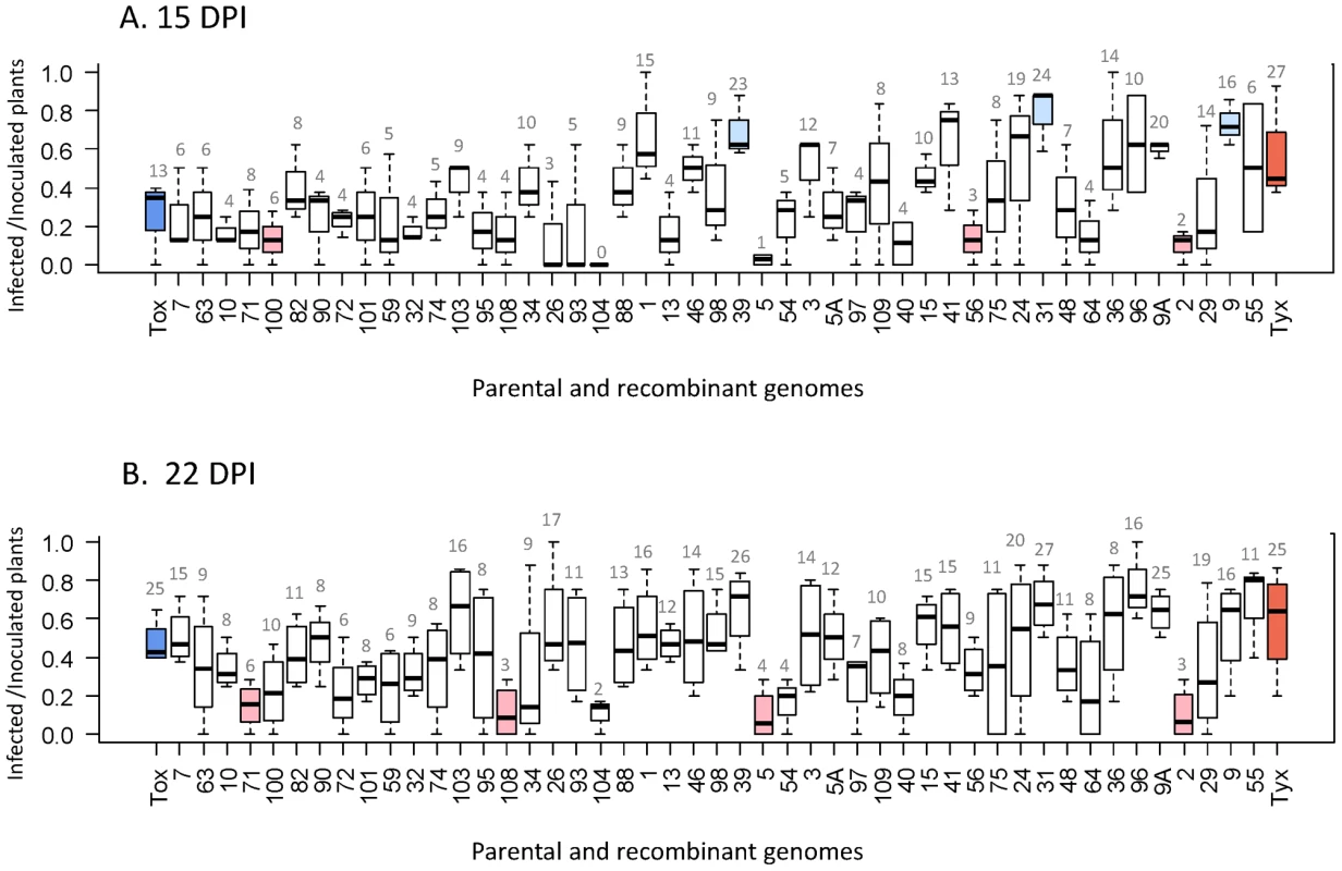 Infectivity of the 47 recombinants and their 2 parental genomes.