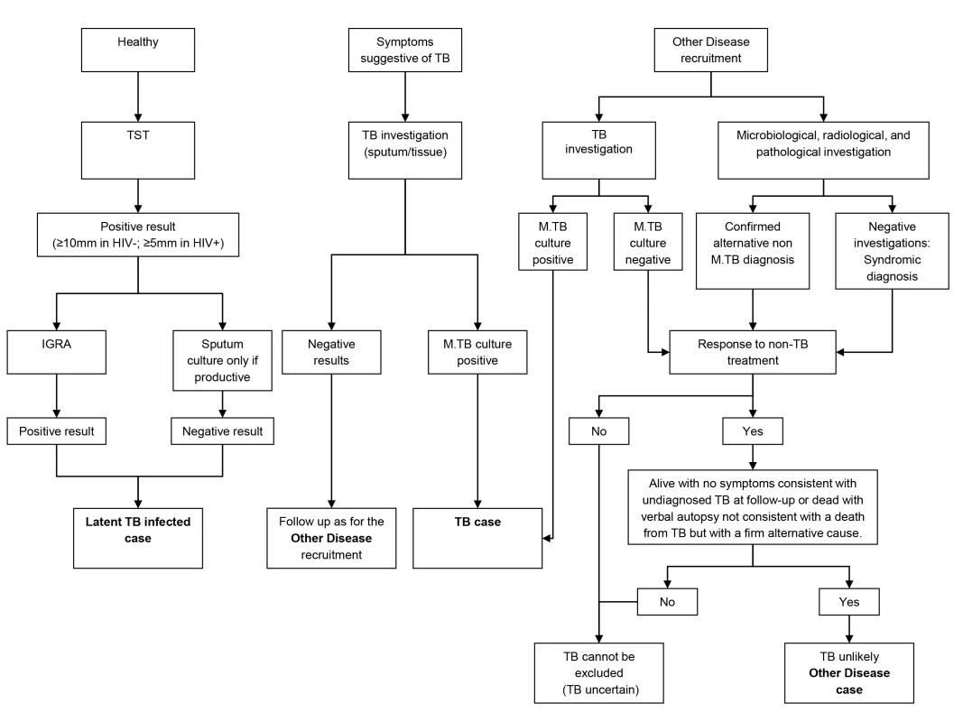 Diagnostic process to identify TB cases, LTBI cases, and other diseases cases.