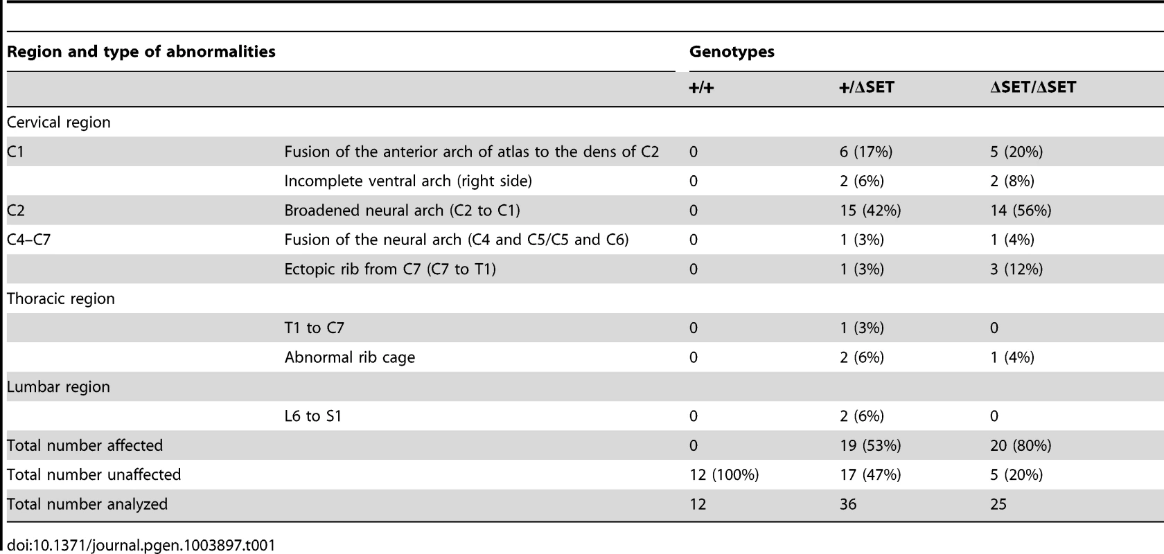 Skeletal phenotypes observed in progenies by intercrossing of heterozygotes.