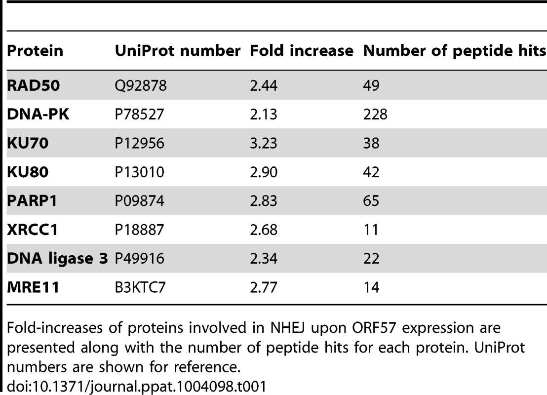 SILAC analysis demonstrates the induction of double strand breaks in ORF57 expressing cells.