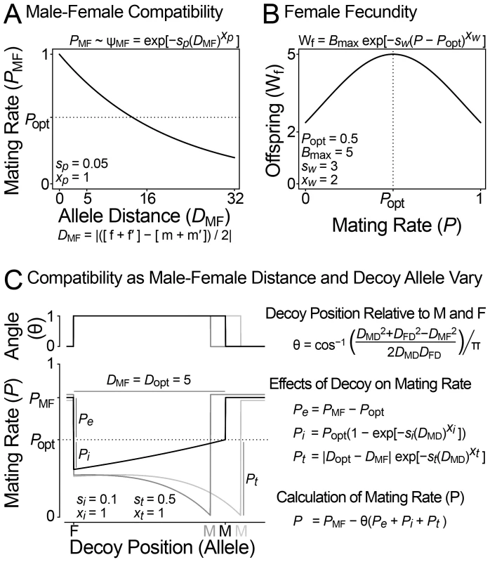 Model of sexual conflict with a female decoy.
