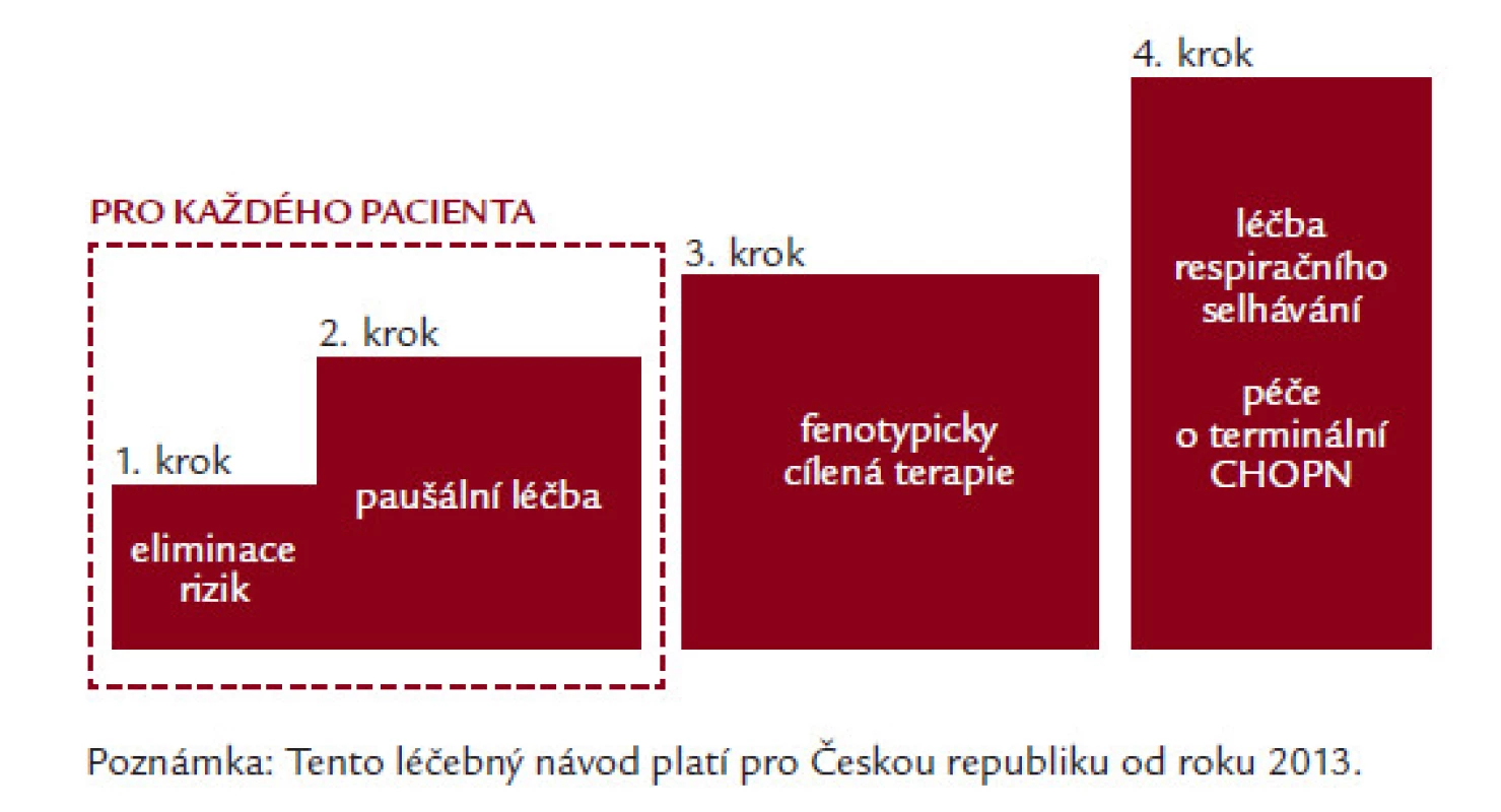 Doporučený postup České pneumologické a ftizeologické společnosti publikovaný v roce 2013 – základní schéma terapie (tiotropium je obsaženo v paušální léčbě indikované pro všechny symptomatické osoby) [16].