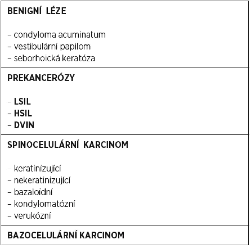 Epiteliální léze vulvy (WHO 2014)