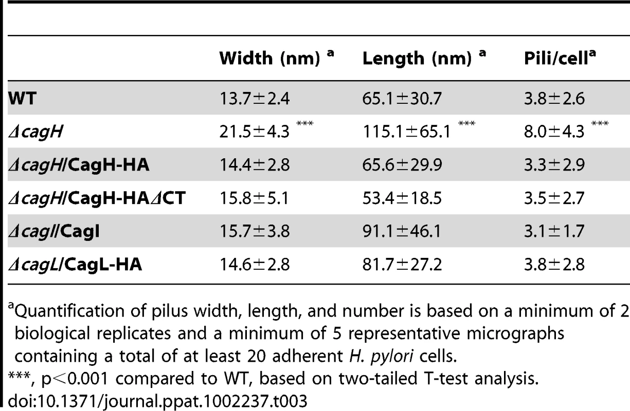 Analysis of type IV secretion system pili.