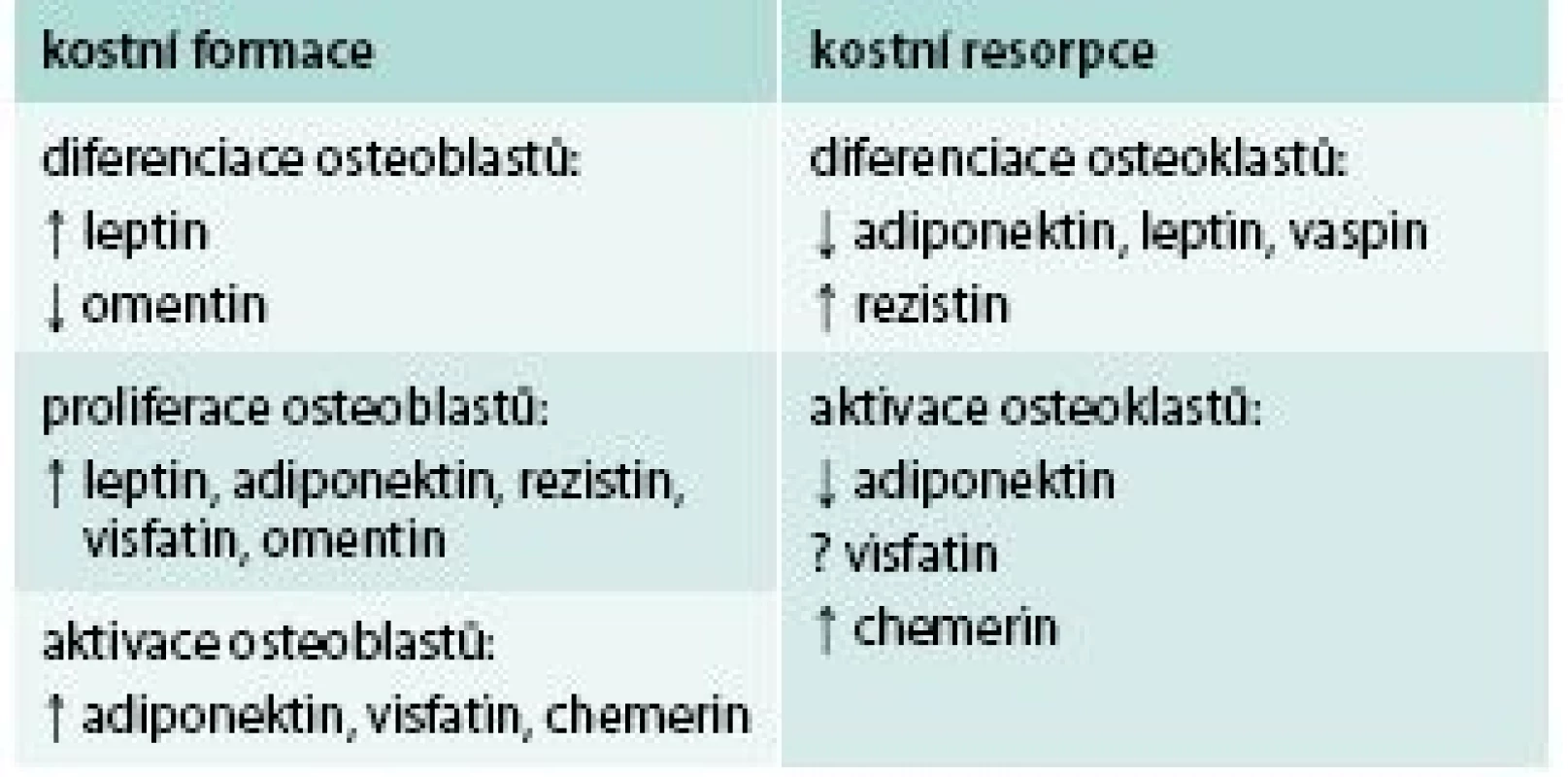 Vliv vybraných adipokinů na kostní obrat