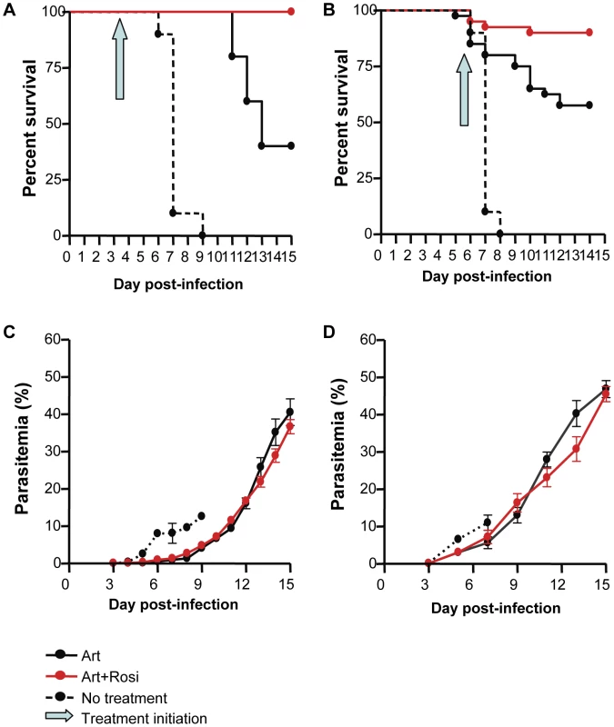 Rosiglitazone adjunctive therapy improves survival in ECM.