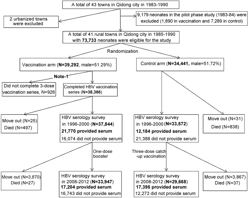 Flow-chart of the Qidong Hepatitis B Intervention Study.