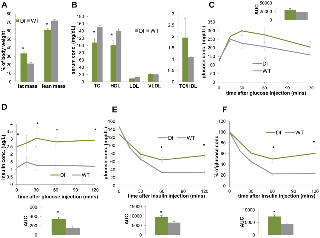 <i>Df(11)17/+</i> mice (green) are obese, have reduced TC, HDL, and display reduced insulin sensitivity in comparison to WT mice (gray).