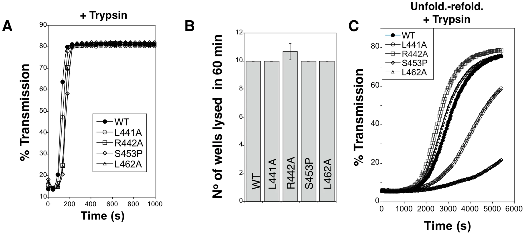 Hemolytic activity of WT and mutant aerolysins.