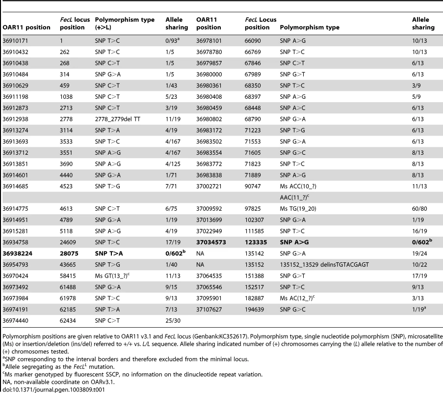 Polymorphisms within the minimal <i>FecL</i> locus and allele sharing.