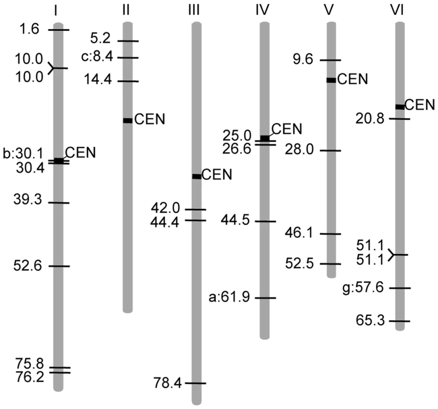Linkage map positions of <i>LORE1</i> insertion sites.