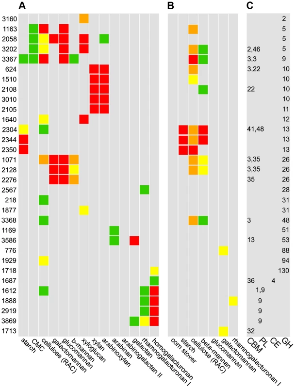Cleavage A, binding B, and CAZy database classification C of purified enzymes.