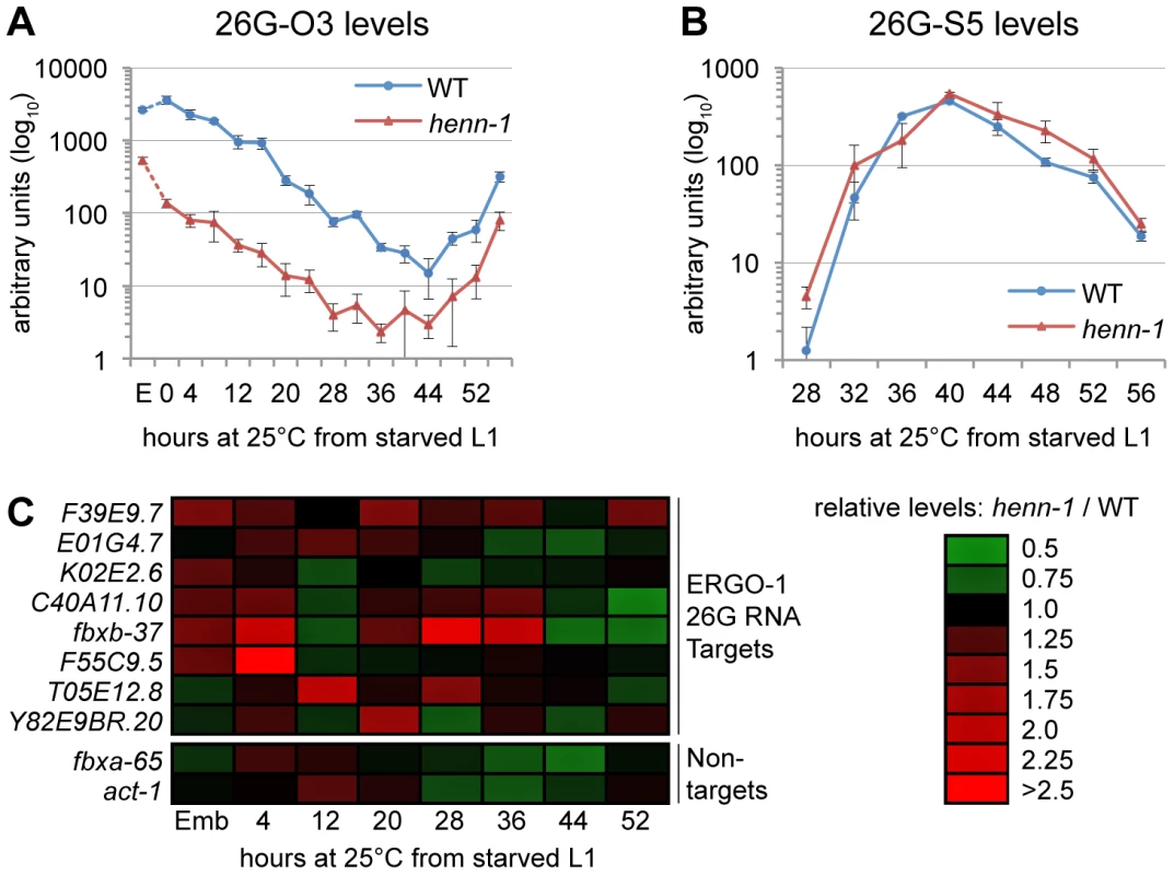 HEN1 Stabilizes ERGO-1 Class, but Not ALG-3/ALG-4 Class, 26G RNAs.