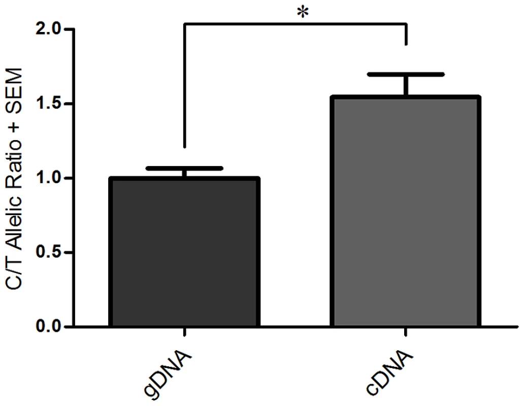 Differential allelic expression (DAE) of<i>GDF5</i> in SW872 cells assessed using rs143383.