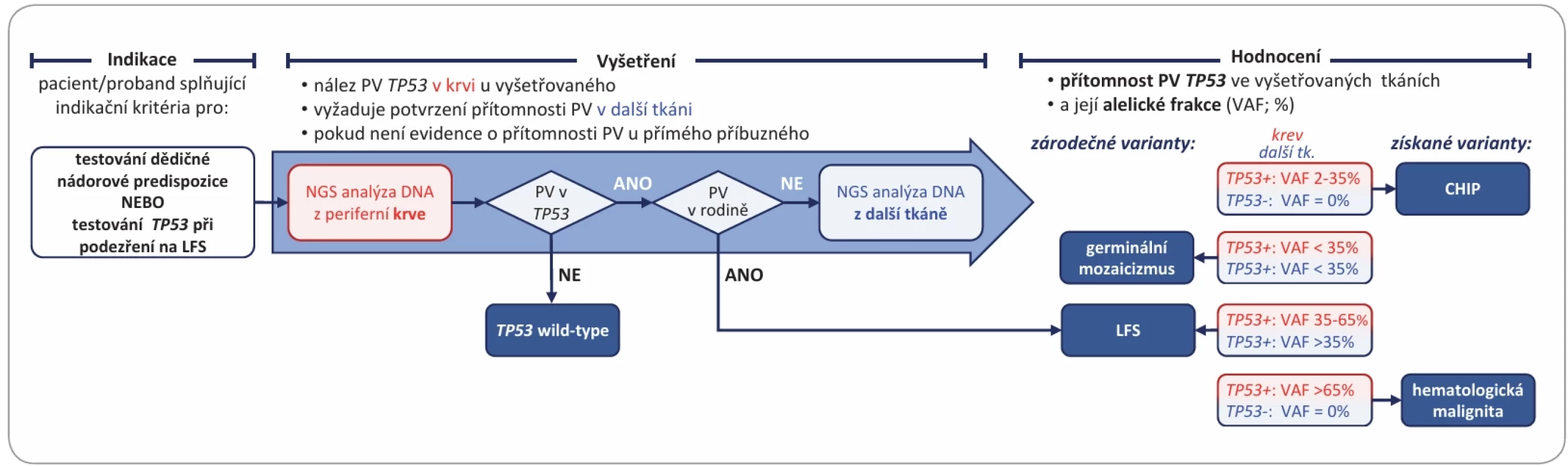 Algoritmus postupu vyhodnocení nálezu přítomnosti patogenní varianty TP53 při testování multigenovým panelem. 