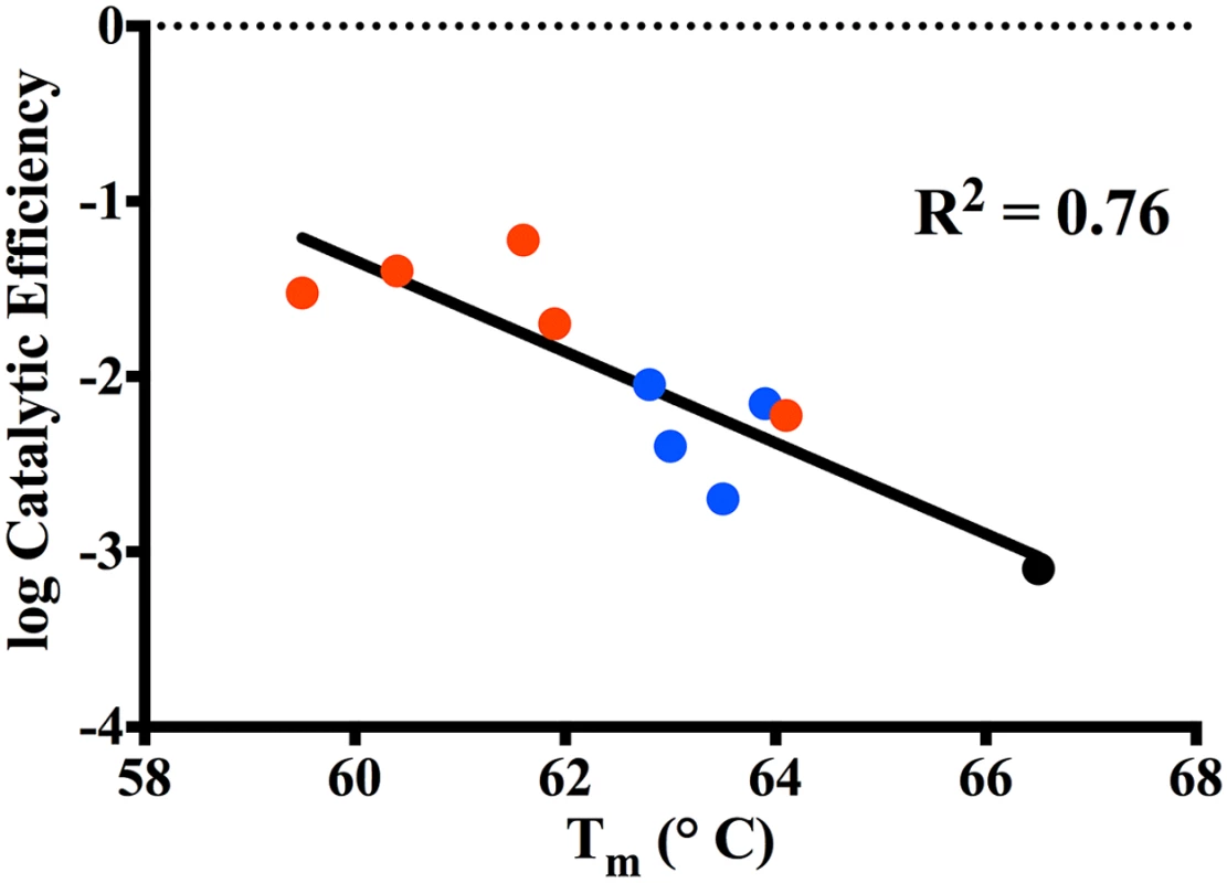 Correlation plot of log catalytic efficiency for ceftazidime (y-axis) as compared to thermal stability of the variants (x-axis).