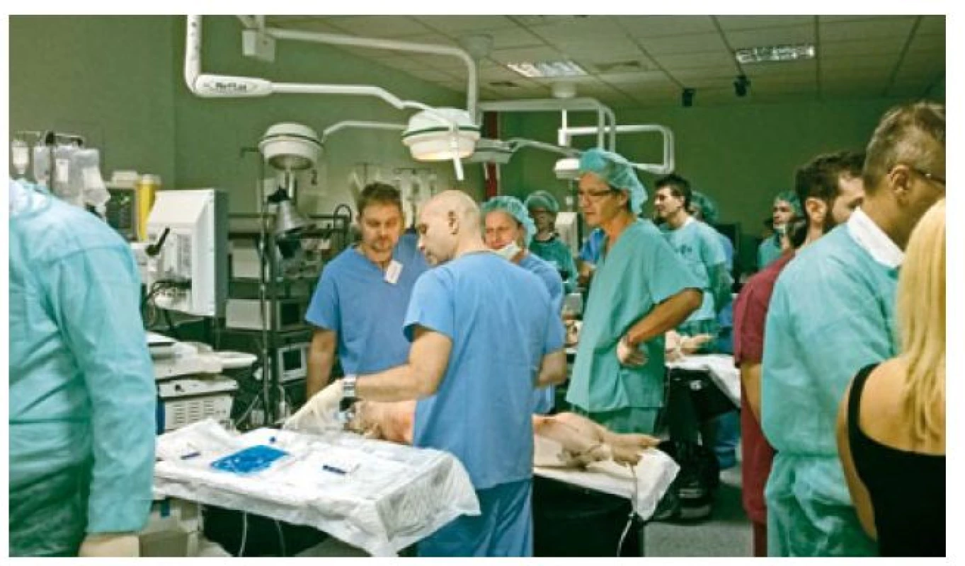 Účastníci workshopu při hands-on tréninku.
Fig. 2. Workshop participants during the hands-on training.