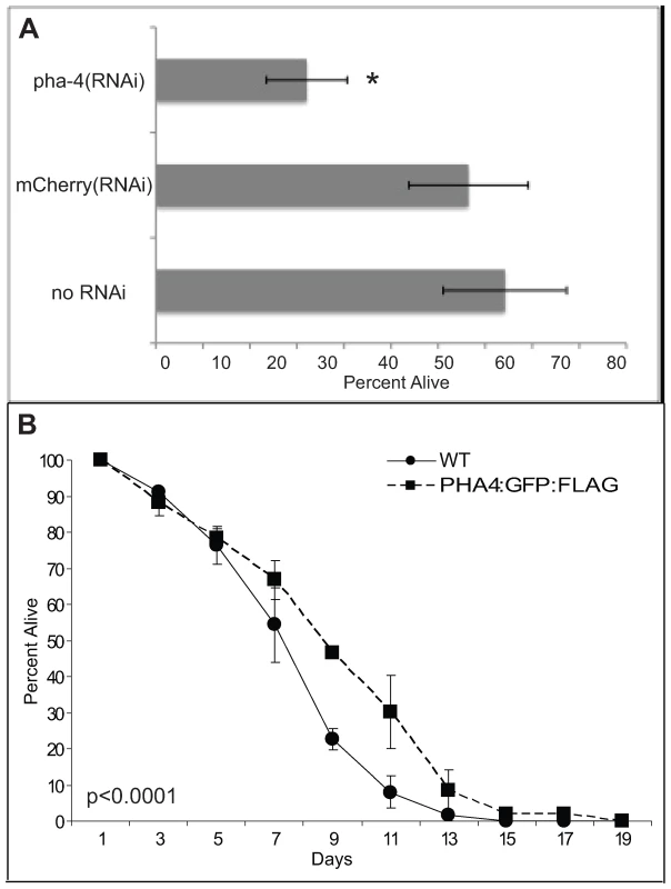 PHA-4 is required for starvation survival.
