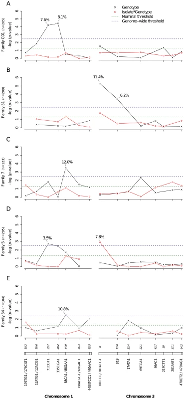 Genetic survey of <i>Ae. aegypti</i> loci associated with midgut infection.