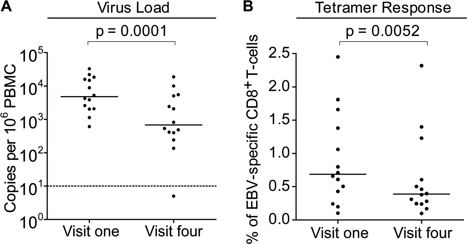 EBV genome loads and EBV-specific T-cell responses in IgM-IgG+ Gambian infants likely to have been infected several months prior to visit one.