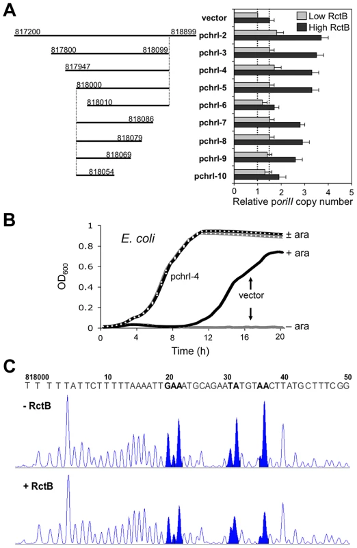 The newly identified chrI site enhances mini-chrII replication, improves cell growth and binds purified RctB.