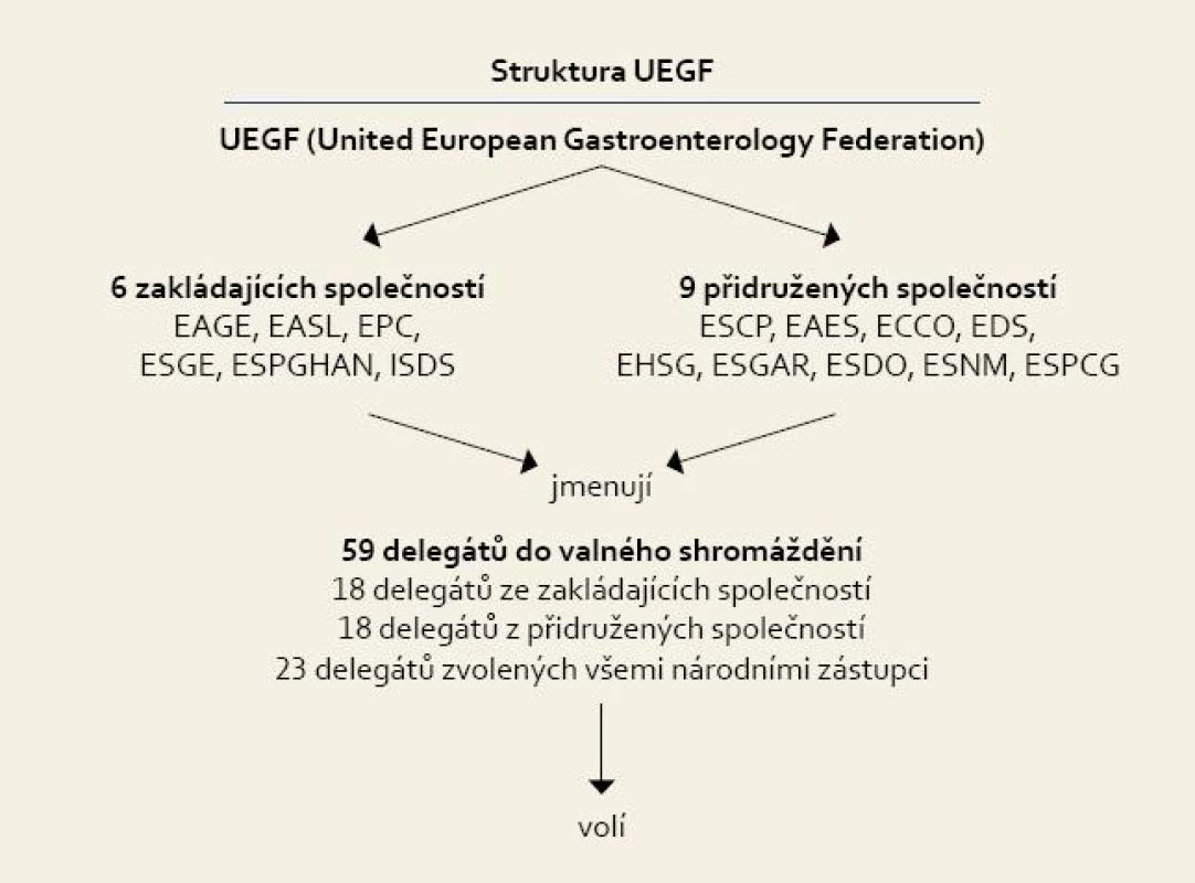 Rada UEGF.
Fig. 2. UEGF Council.