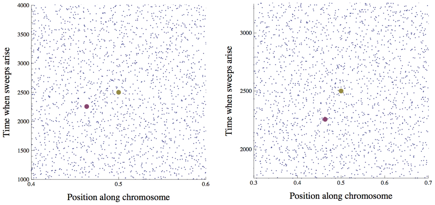 The distribution of sweeps in time across the genome.