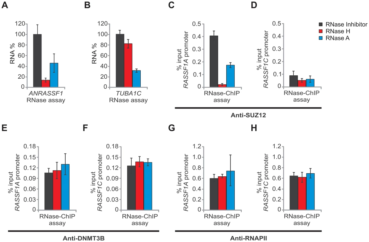 <i>ANRASSF1</i> mediates recruitment of SUZ12 to the <i>RASSF1A</i> promoter.