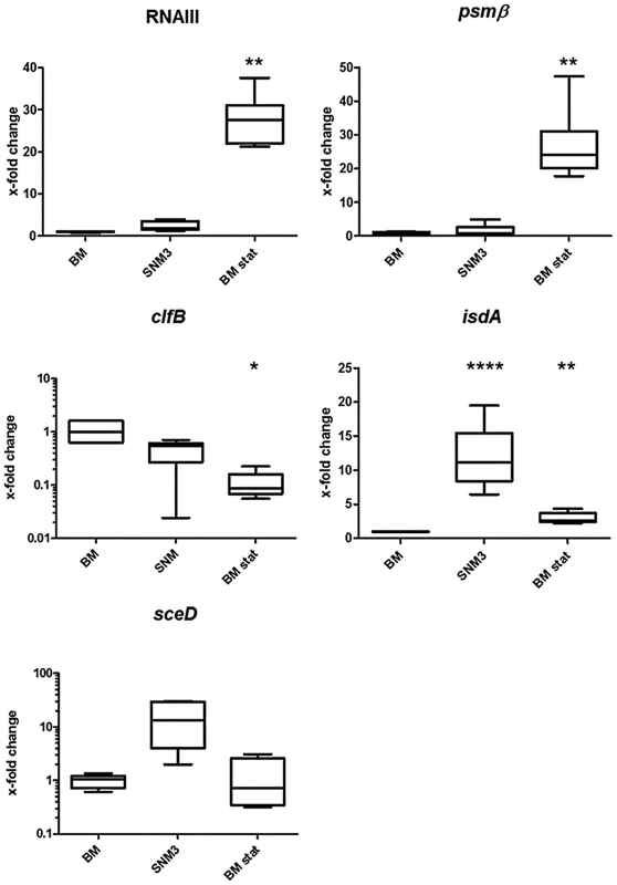 Relative gene expression of selected genes of <i>S. aureus</i> USA300 LAC in BM and SNM.